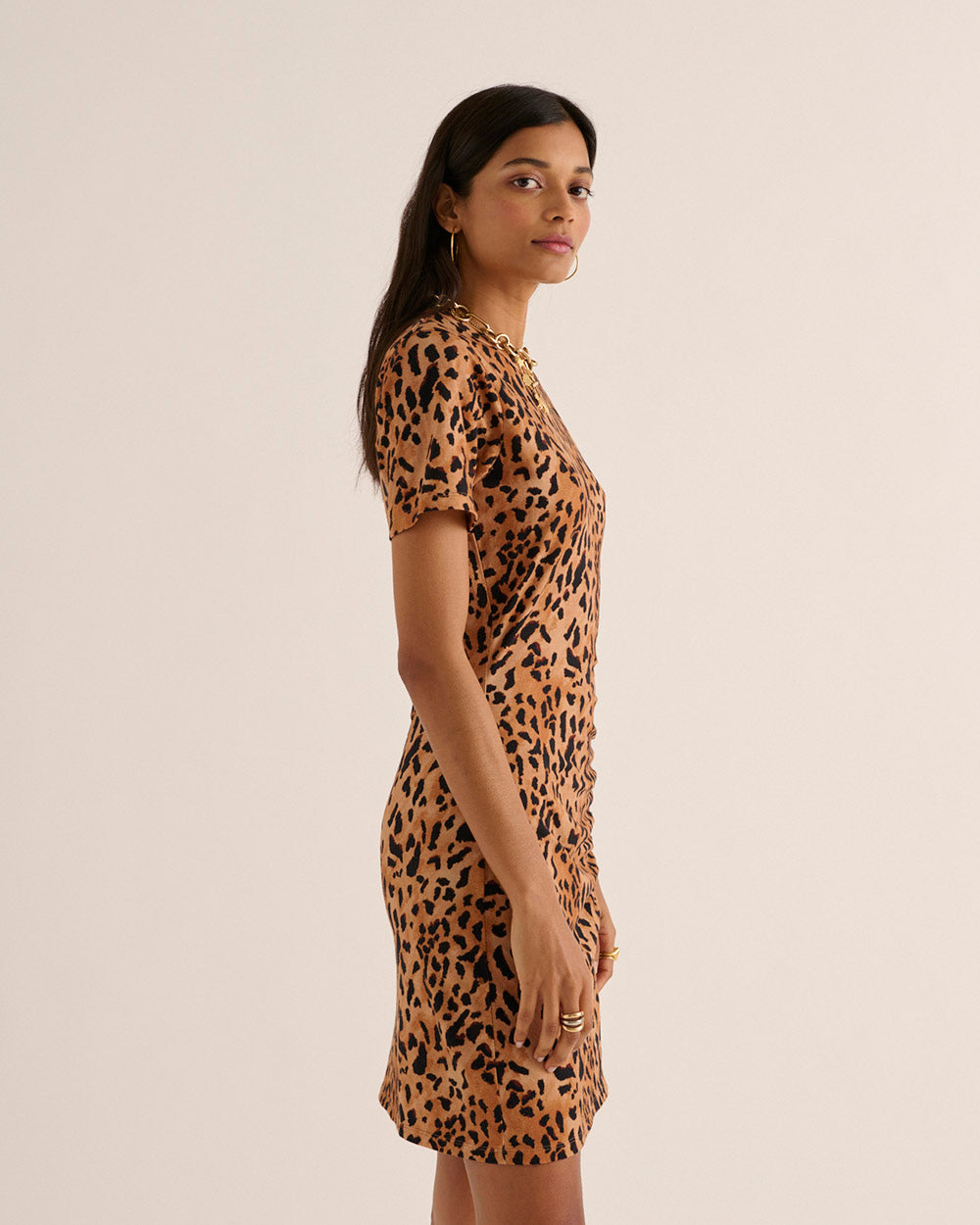 Floréal cheetah cappuccino dress