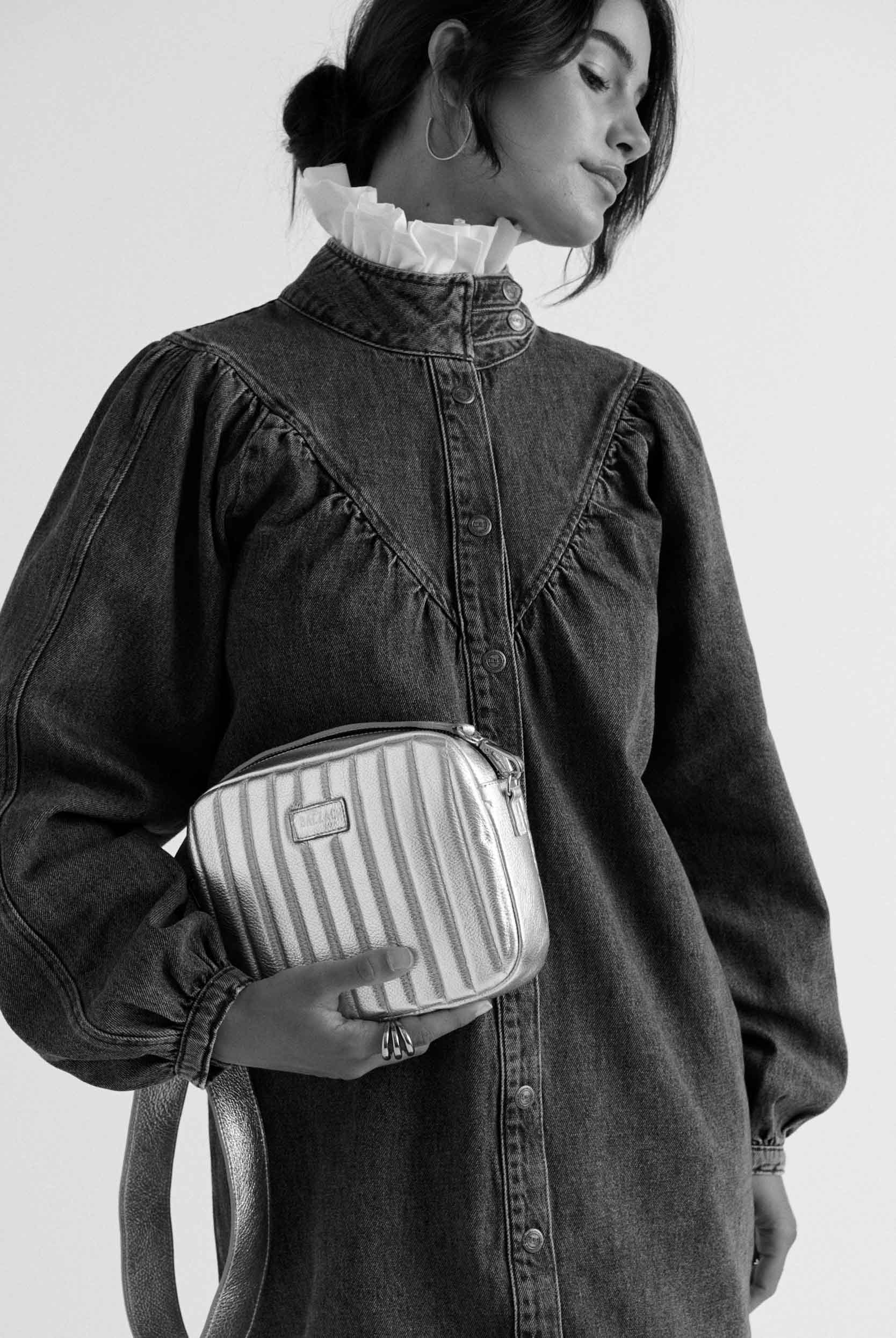 Bag César silver