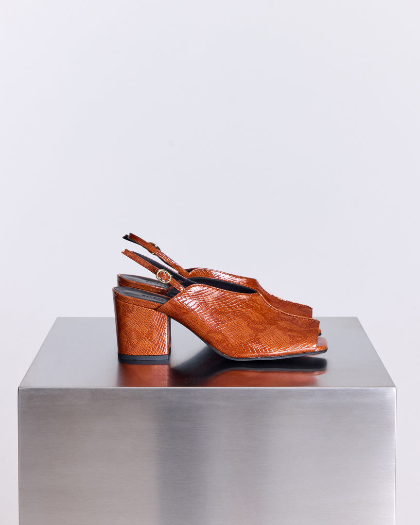 collection_top-30