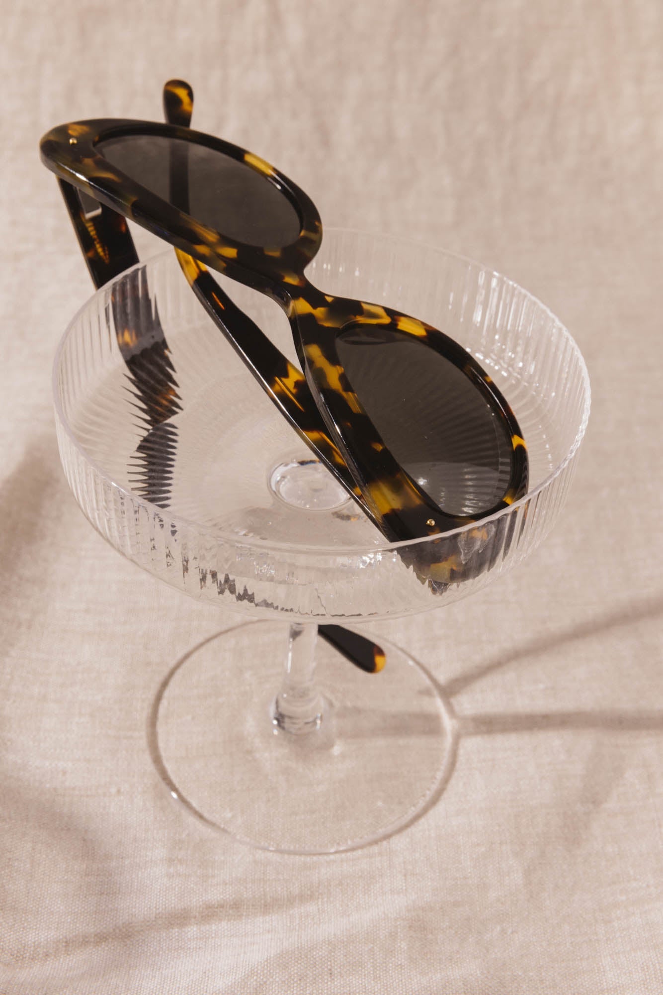 Glasses Charlotte tortoise black