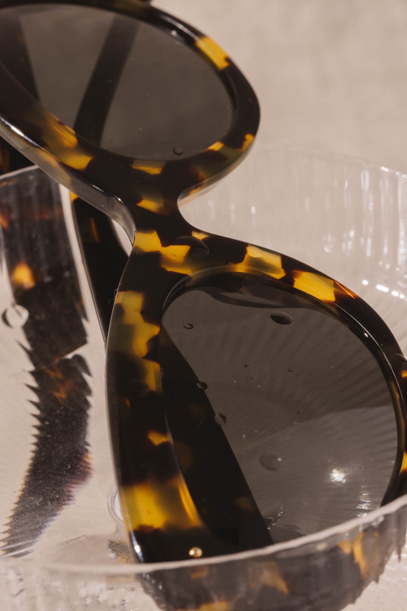 Glasses Charlotte tortoise black
