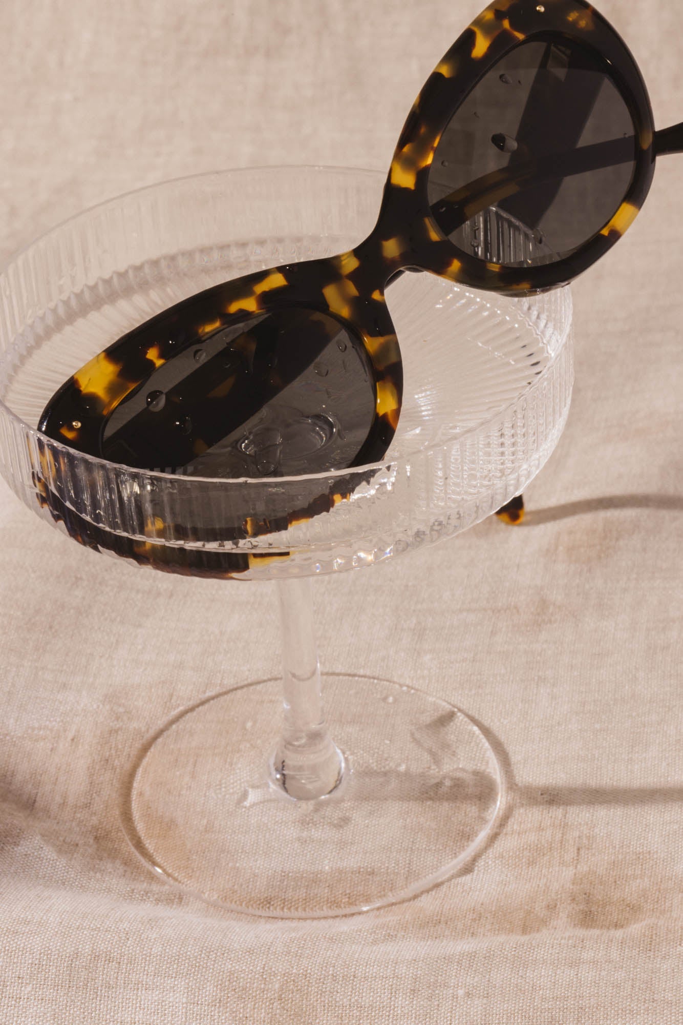 Glasses Charlotte tortoise black