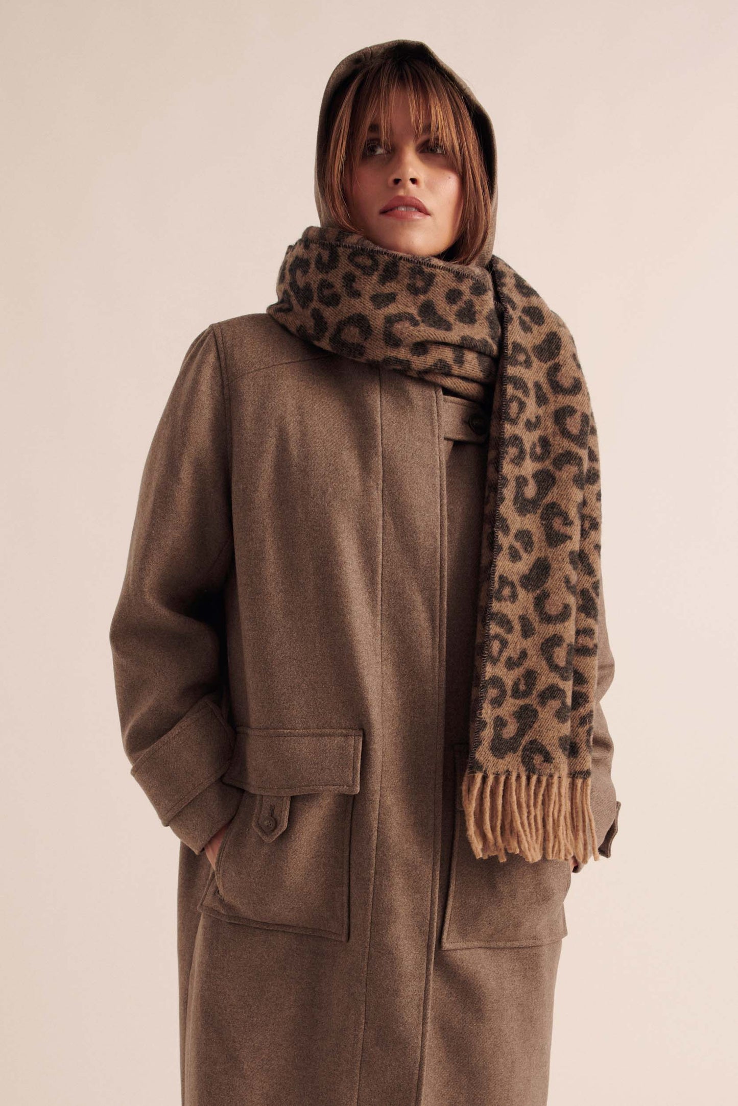 Quibery chestnut coat