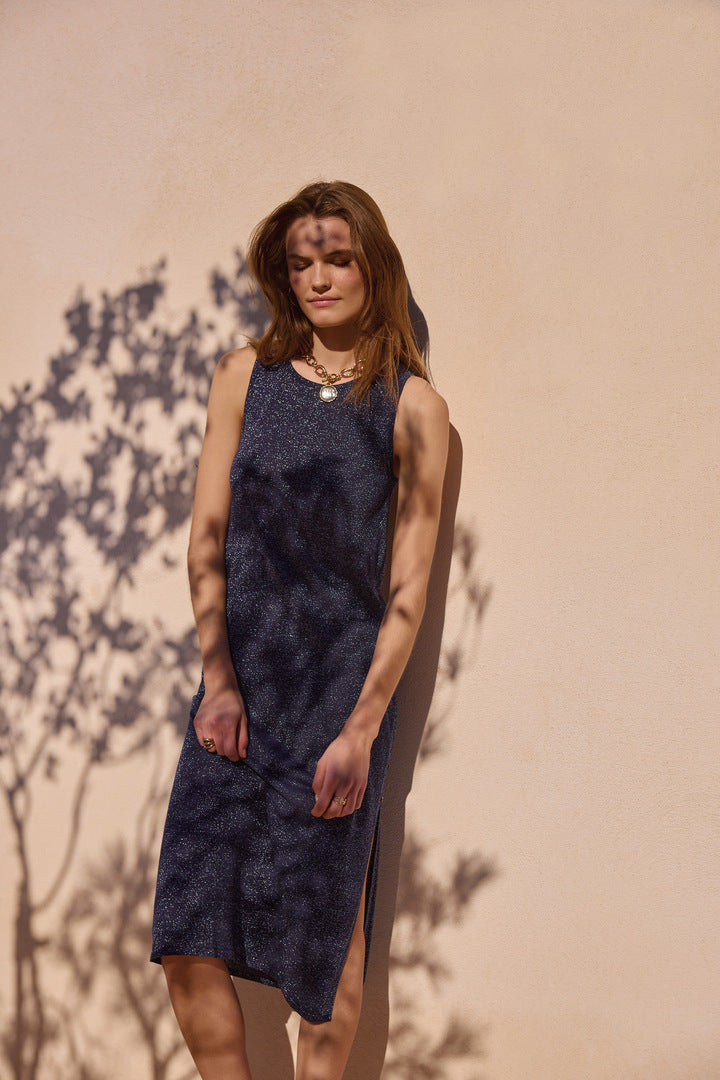 Dress Persil navy iridescent