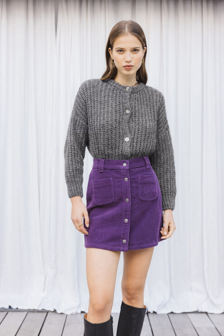 purple tommy skirt
