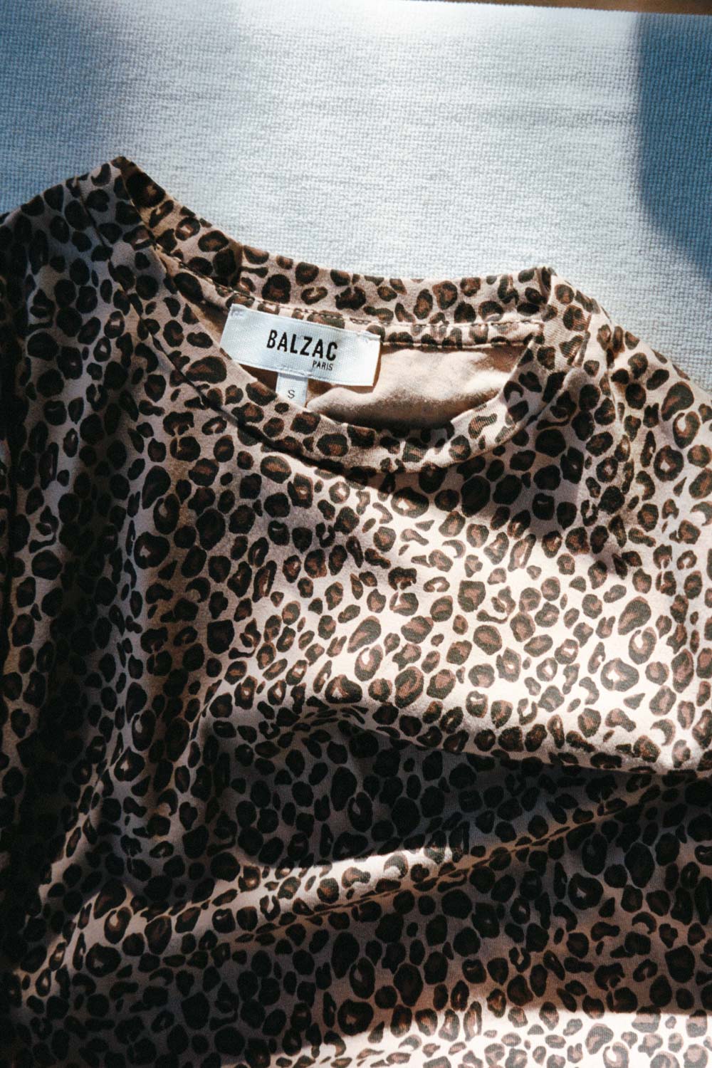 Claodia leopard dress