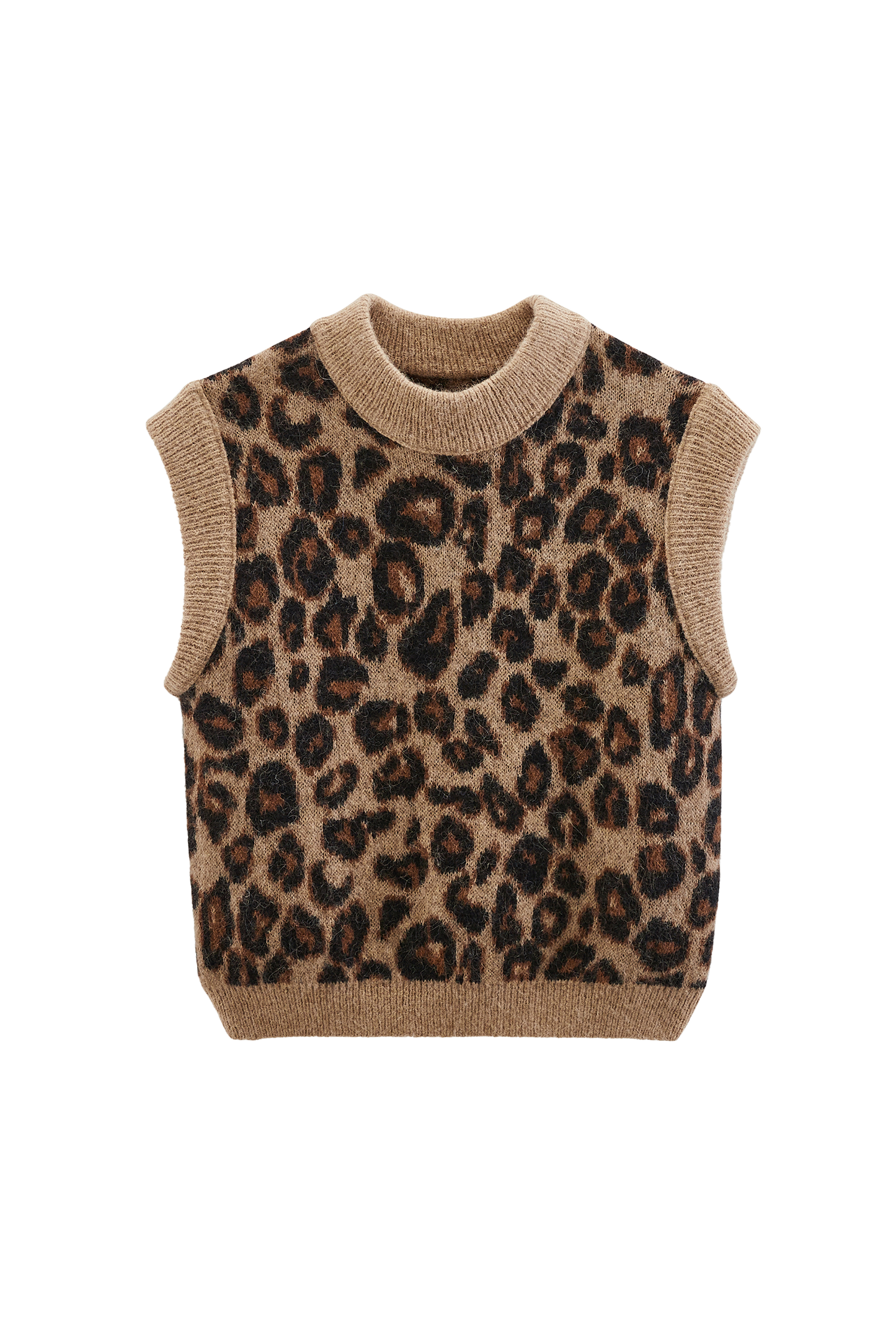 Pull Blason léopard