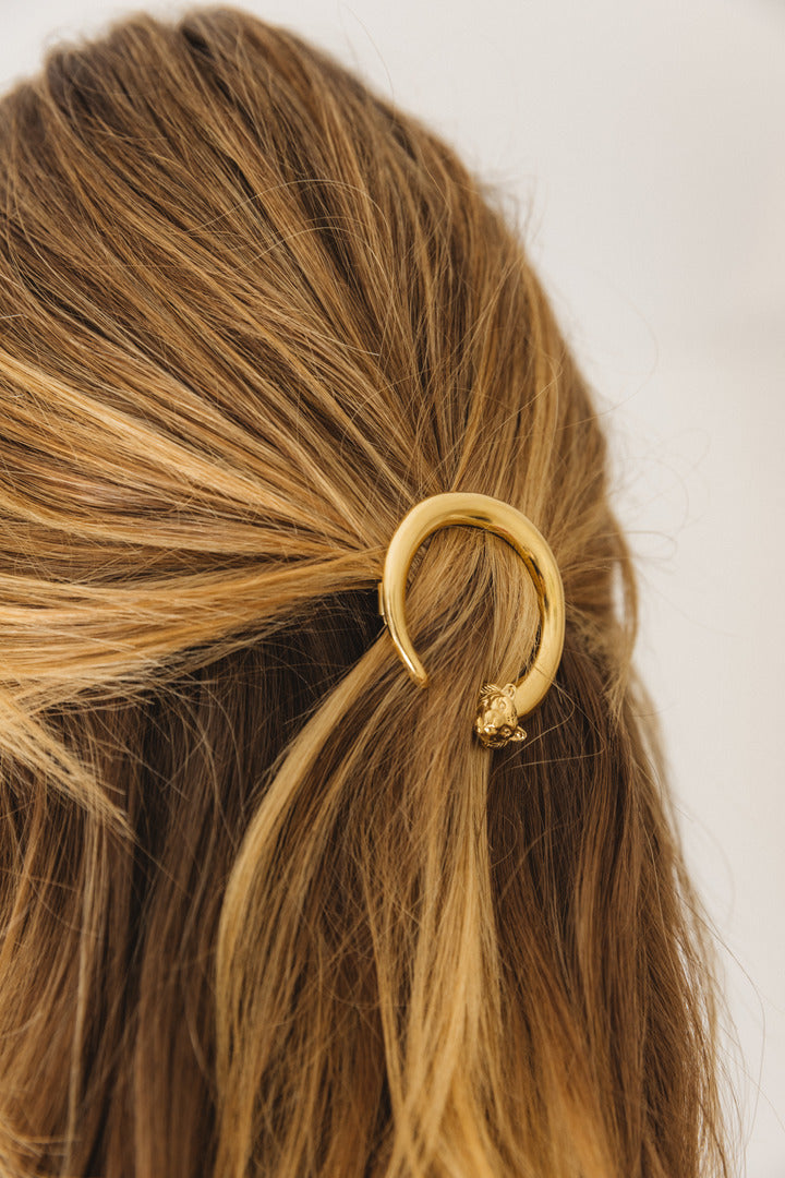 Golden Rumba hair clip