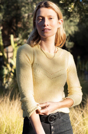 Pull Roger jaune pastel